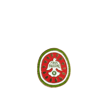 Free Palestine pin